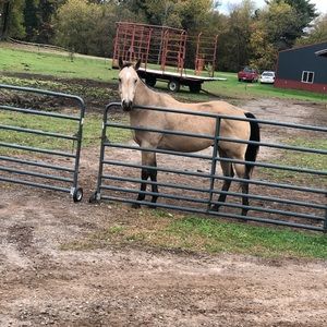 Meet your Posher, Alexa